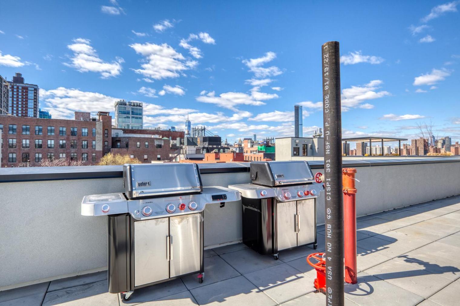 Apartment Dumbo 2br W Wd Roof Gym Nr Timeout Building Nyc-957 New York